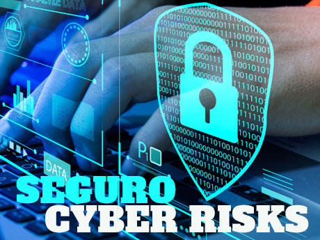 Seguro cyber risks